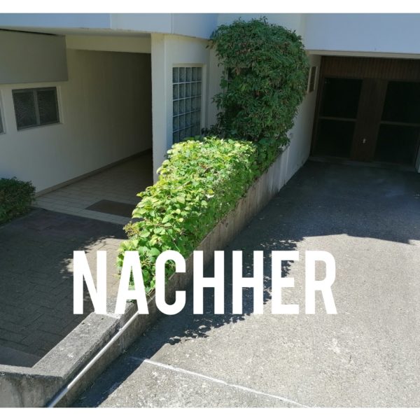 nachecke