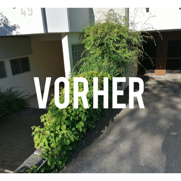 vorhecke